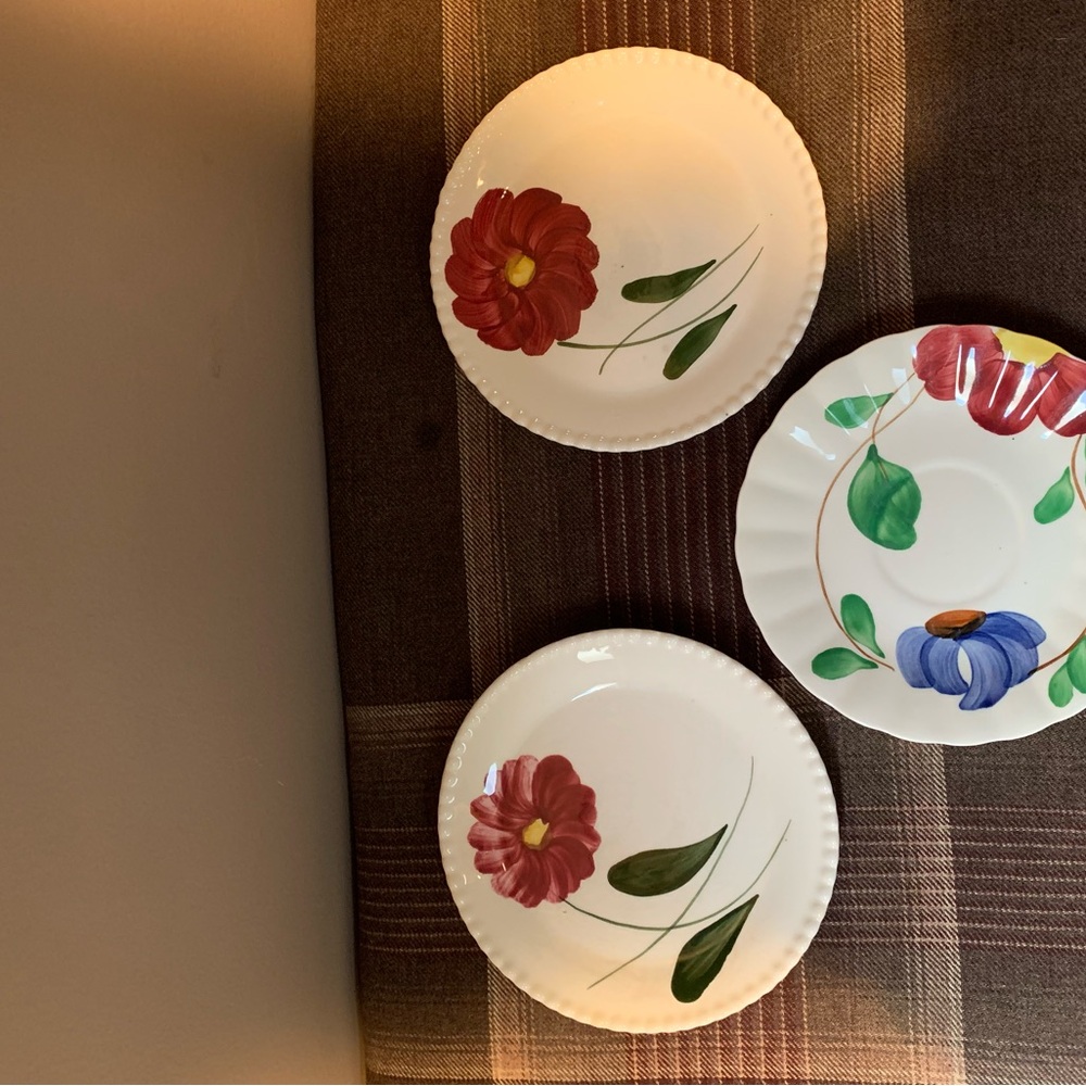 Mountain Rose Ceramic Desert Plates Set